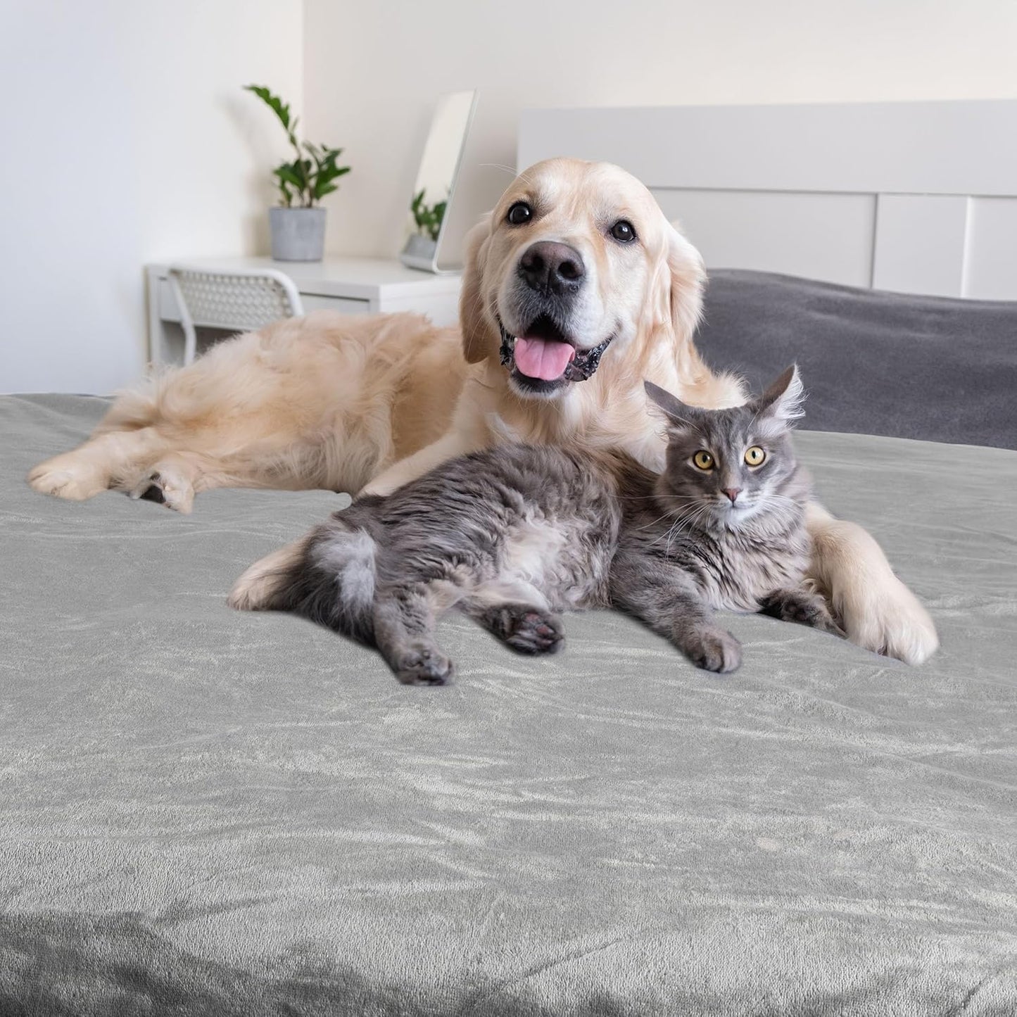 Waterproof Pet Blanket - 50x60-Inch Reversible Sherpa Fleece Throw Protects Couches, Cars, and Beds from Spills, Stains, and Fur by PETMAKER (Gray)