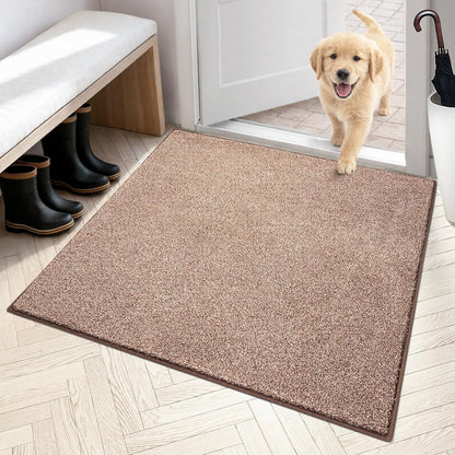 PURRUGS Dirt Trapping Door Mat 20" x 31.5", Non-Slip Machine Washable Entryway Rug, Dog Doormat, Indoor Front Door Mat, Super Absorbent Entry Rug for Muddy Shoes & Paws, Bluish Grey-Black