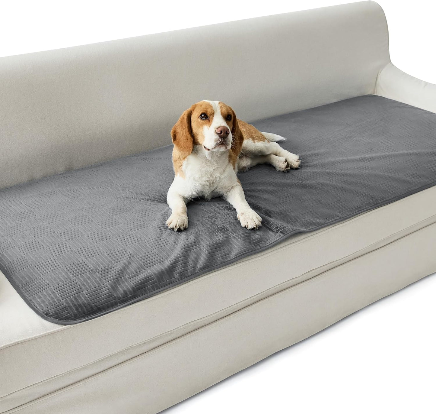 Bedsure Waterproof Couch Cover for Dogs Washable - Waterproof Blanket for Large Dogs Couch Sofa Bed Cozy, Lightweight Furniture Protector for Pet Cat Quick Drying, Ash Grey, 52x82IN