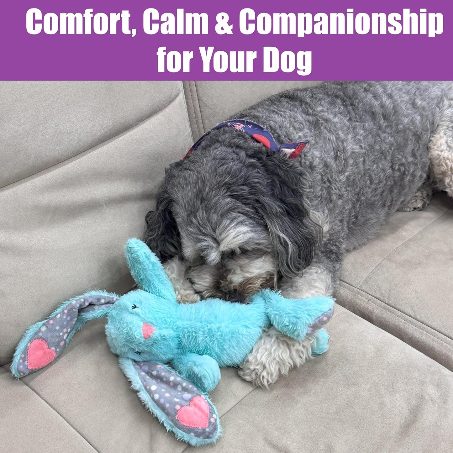SPOT Soothers Multipurpose Dog Lick Mat - 6in Slow Feeder & Crate Enrichment Toy for Small & Medium Dogs and Puppies, Food-Grade Rubber, Dishwasher Safe, Anxiety & Boredom Relief