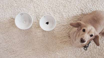 Necoichi Raised Dog Food Bowl, Elevated, for Dogs and Cats, Pets Feeding Feeder Non-Slip for Small Dogs Dishwasher and Microwave Safe, No.1 Seller in Japan! (Dog, Extra Wide Tilted)