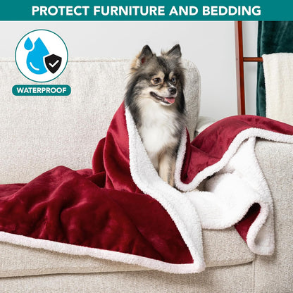 PetAmi Waterproof Dog Blanket for Couch, Large 60x40, Pee Proof Sherpa Fleece Reversible Pet Throw, Furniture Protector for Bed Sofa Kennel, Soft Washable Cover for Medium Dogs Cats, Grey Sherpa