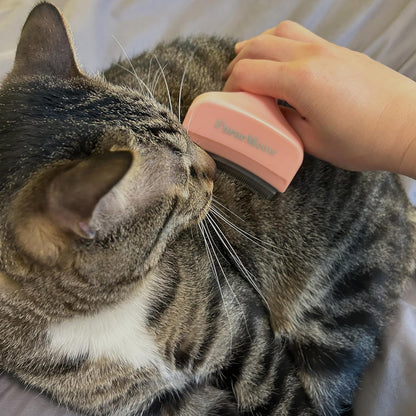 Pet Deshedding Tool with Curve Blade, Cat Grooming Brush, Tight V-shaped Teeth Shedding Comb for Cat and Dog (Pink, Large)
