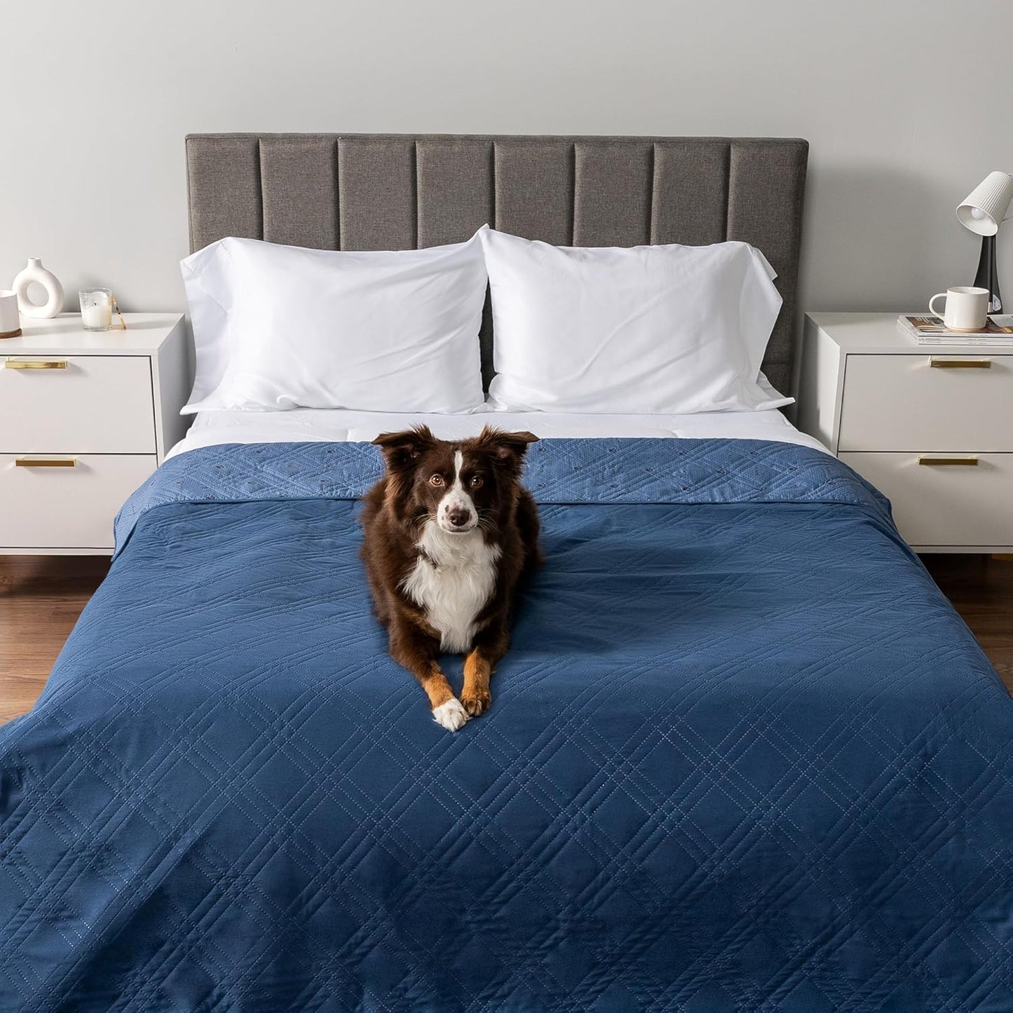 PetAmi Waterproof Couch Cover for Dogs, Reversible Furniture Cover Sofa Protector for Pet Cat Bed, Washable Blanket Dog Cover for Couch Seat, 52x82 Gray