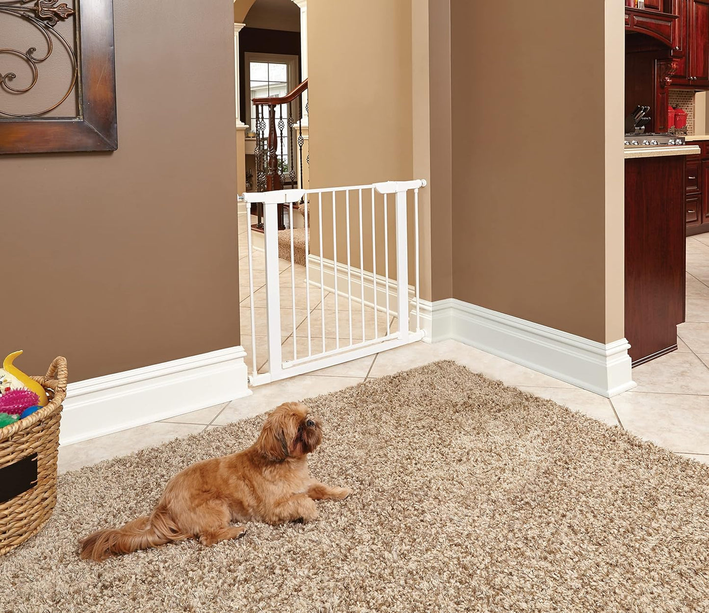 MidWest Homes for Pets 39-Inch High Walk-Thru Pressure Mounted Steel Dog Gate, Expands to 38 Inches Wide, Includes 3-inch Extensions, Textured Graphite
