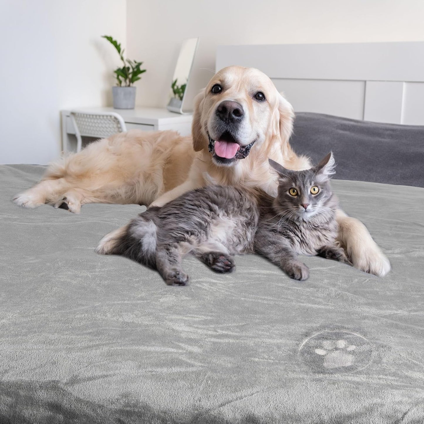 Waterproof Pet Blanket - 50x60-Inch Reversible Sherpa Fleece Throw Protects Couches, Cars, and Beds from Spills, Stains, and Fur by PETMAKER (Gray)