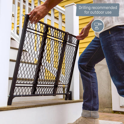 Ingenuity Doorway 42W Series Dog and Baby Gate, Indoor Outdoor, Won't Rust or Fade, Plastic Panel, Fits 23-42" Openings, 24” Tall