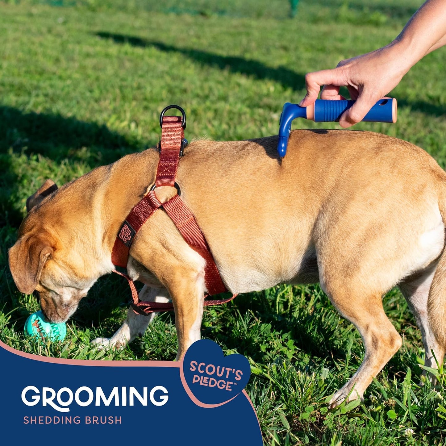 Good Scout 2-Piece Deshedding Tool Set with Self-Cleaning Slicker Brush & Dual-Head for Dogs & Cats, Gentle, Safe & Effective Grooming Tool for Short or Long Haired Animals