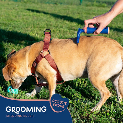 Good Scout 2-Piece Deshedding Tool Set with Self-Cleaning Slicker Brush & Dual-Head for Dogs & Cats, Gentle, Safe & Effective Grooming Tool for Short or Long Haired Animals