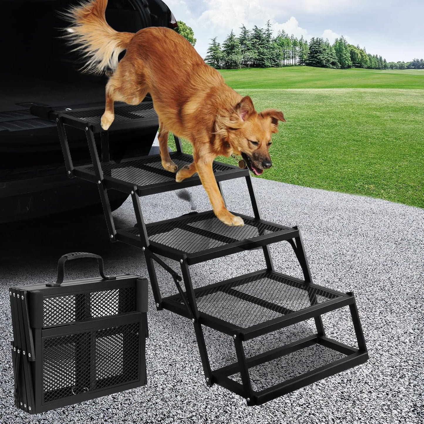 DGSL Dog Ramp for Car, 4-Step Folding Dog Stairs, Aluminum, Black, Supports Up to 250 Lbs