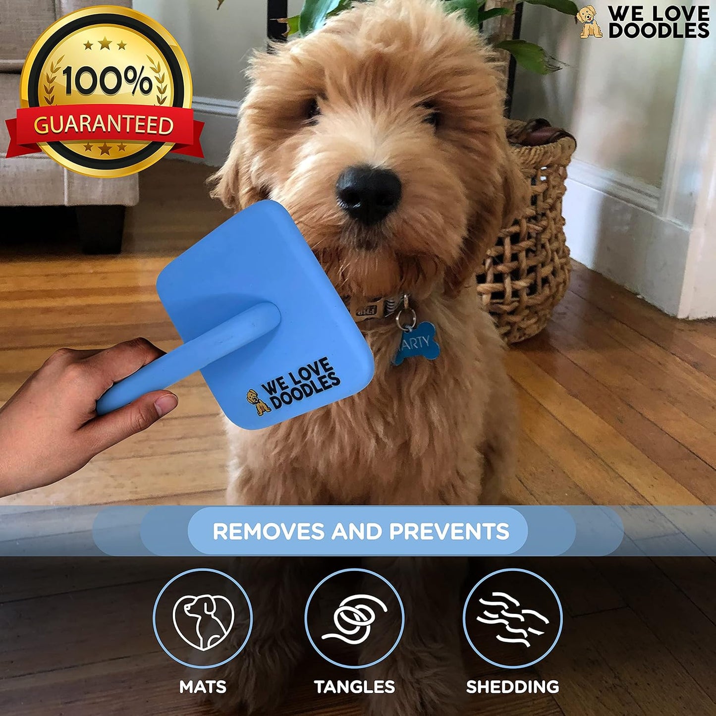 We Love Doodles Large Slicker Brush & Lavender Detangler Spray Pack - for Long-Haired Dogs, Dog Leave-In Conditioner for Reducing Mats, Knots & Tangles, Dematting & Conditioning Kit, 16 oz