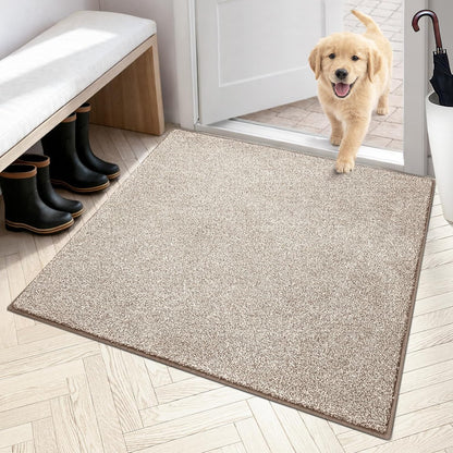 PURRUGS Dirt Trapping Door Mat 20" x 31.5", Non-Slip Machine Washable Entryway Rug, Dog Doormat, Indoor Front Door Mat, Super Absorbent Entry Rug for Muddy Shoes & Paws, Bluish Grey-Black