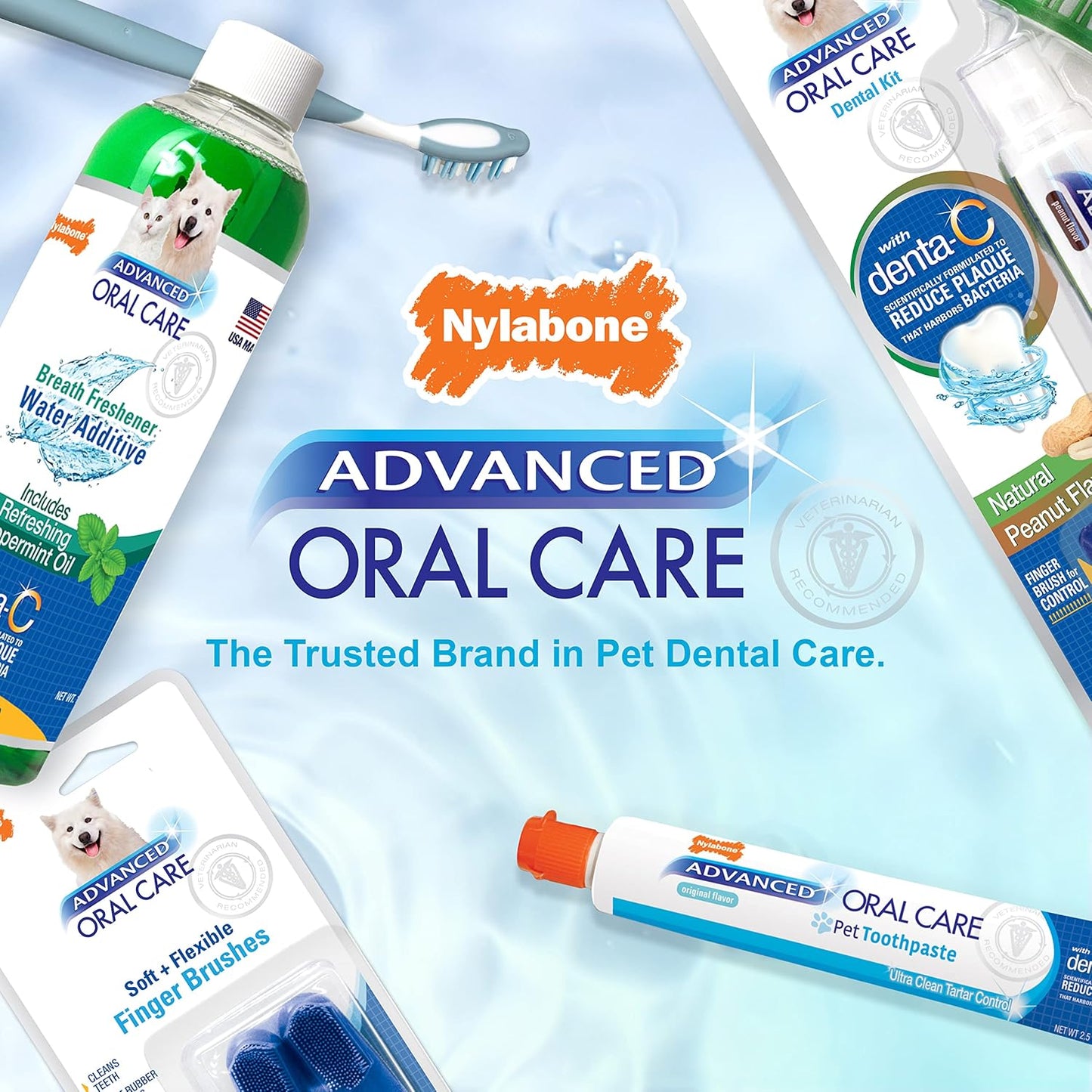 Nylabone Advanced Oral Care Dog Dental Kit Original Flavor 2.5 oz.