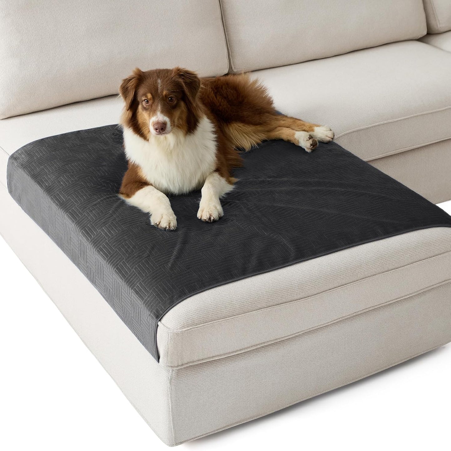 Bedsure Waterproof Couch Cover for Dogs Washable - Waterproof Blanket for Large Dogs Couch Sofa Bed Cozy, Lightweight Furniture Protector for Pet Cat Quick Drying, Ash Grey, 52x82IN