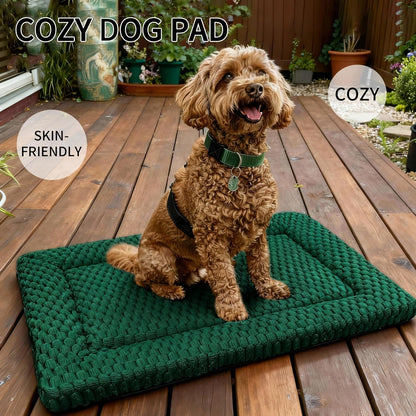 Dog Bed Mat, Reversible Crate Pad & Cute Dog Bed - Machine Washable Kennel Mat with Ultra Soft for Small Dogs (Cool/Warm), 24" x 18", Grey&Star