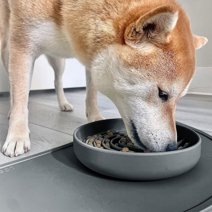 Should We Go? Slow Feeder for Dogs & Puppies, The Slowdown Bowl Silicone Slow Eating, Modern Lick Mat Design, Reduces Gulping, Fits 2 Cups, 7.5” Across x 1.5” Tall, Mealtime Challenge, Medium-Blush