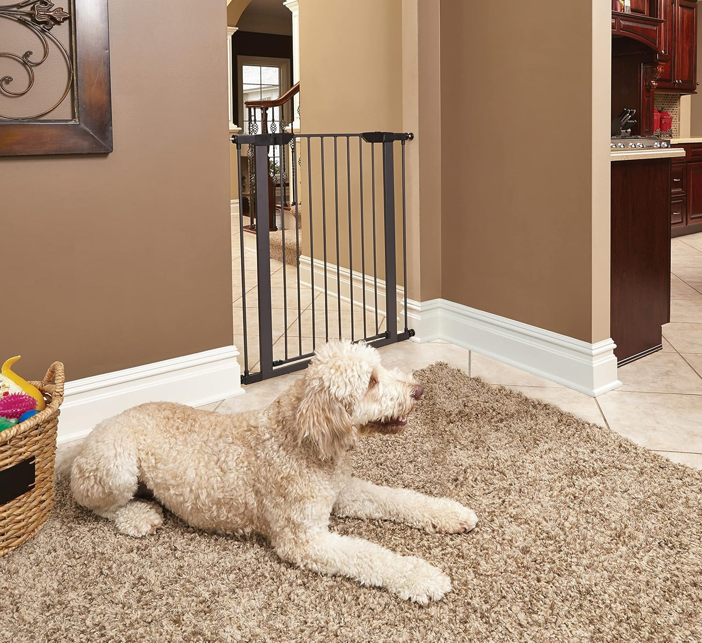 MidWest Homes for Pets 39-Inch High Walk-Thru Pressure Mounted Steel Dog Gate, Expands to 38 Inches Wide, Includes 3-inch Extensions, Textured Graphite