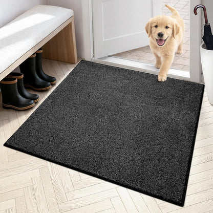 PURRUGS Dirt Trapping Door Mat 20" x 31.5", Non-Slip Machine Washable Entryway Rug, Dog Doormat, Indoor Front Door Mat, Super Absorbent Entry Rug for Muddy Shoes & Paws, Bluish Grey-Black