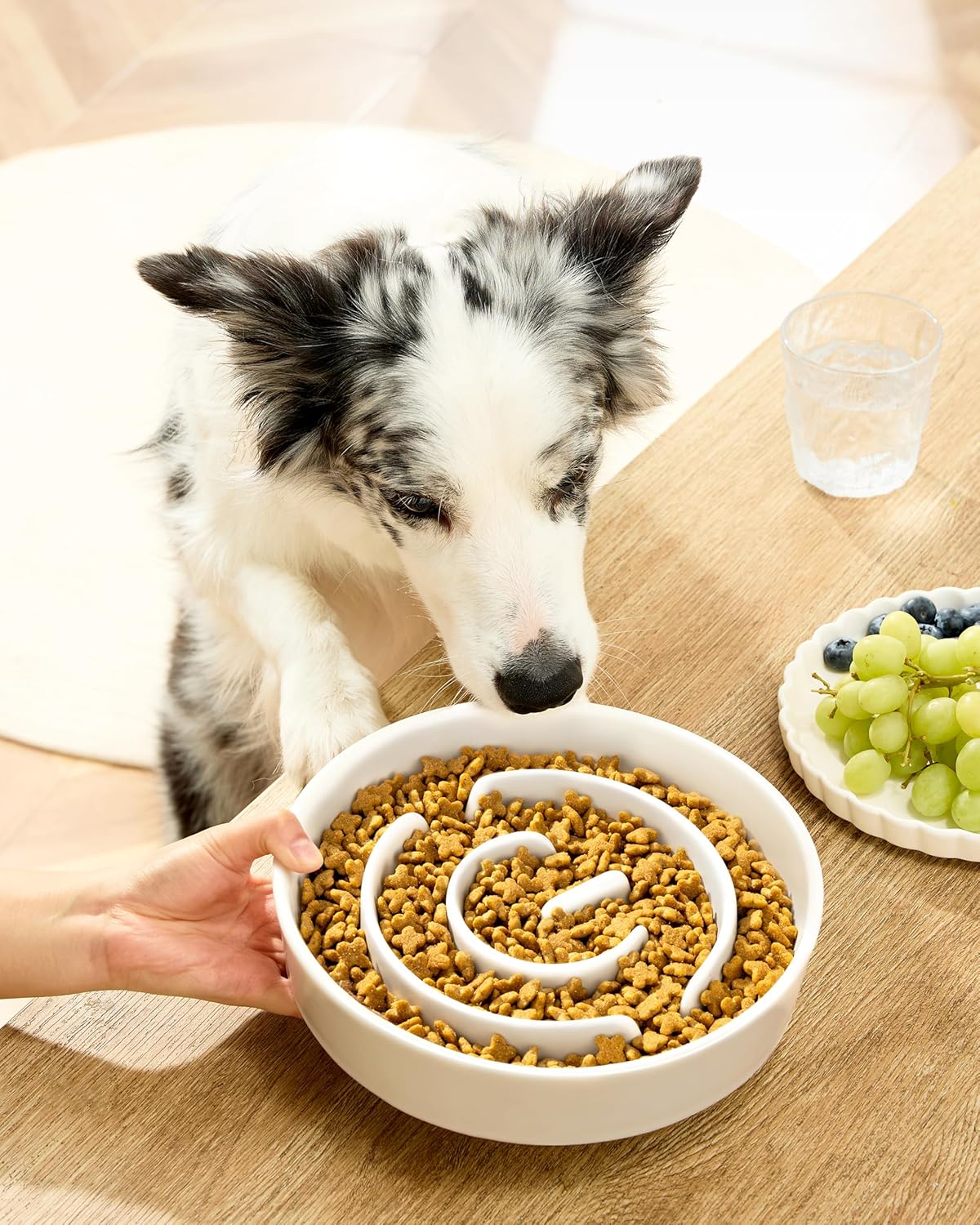 Ceramic Slow Feeder Dog Bowls, 2.0 Cups Slow Feeder for Medium Dogs, Puzzle Maze Bowl to Slow Down Eating, 30oz, 8in, White