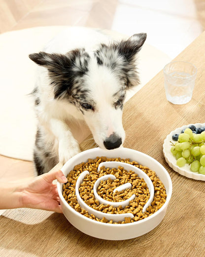 Ceramic Slow Feeder Dog Bowls, 2.0 Cups Slow Feeder for Medium Dogs, Puzzle Maze Bowl to Slow Down Eating, 30oz, 8in, White