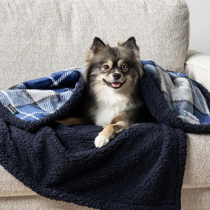 PetAmi Waterproof Dog Blanket for Couch, Large 60x40, Pee Proof Sherpa Fleece Reversible Pet Throw, Furniture Protector for Bed Sofa Kennel, Soft Washable Cover for Medium Dogs Cats, Grey Sherpa