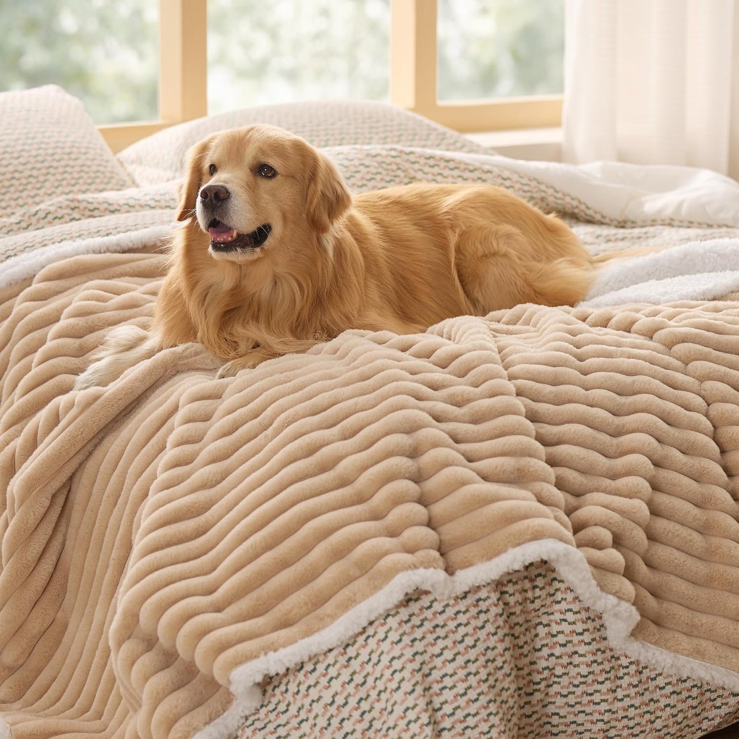 Bedsure ComfyFleece™ Waterproof Dog Blankets for Large Dogs - Soft Pet Cat Blanket Corduroy Fleece for Couch Bed Protector Washable, Cozy Calming Reversible Furniture Protection,50"x60", Cream