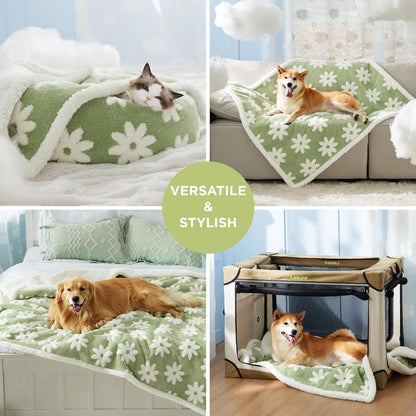 LE SURE Waterproof Dog Blanket for Large Dogs - Washable Double Sided Dog Blankets with Warm Jacquard Shag and Soft Sherpa Fleece, Pet Cat Blanket for Couch Protection, 3D Textured Cloud, Green