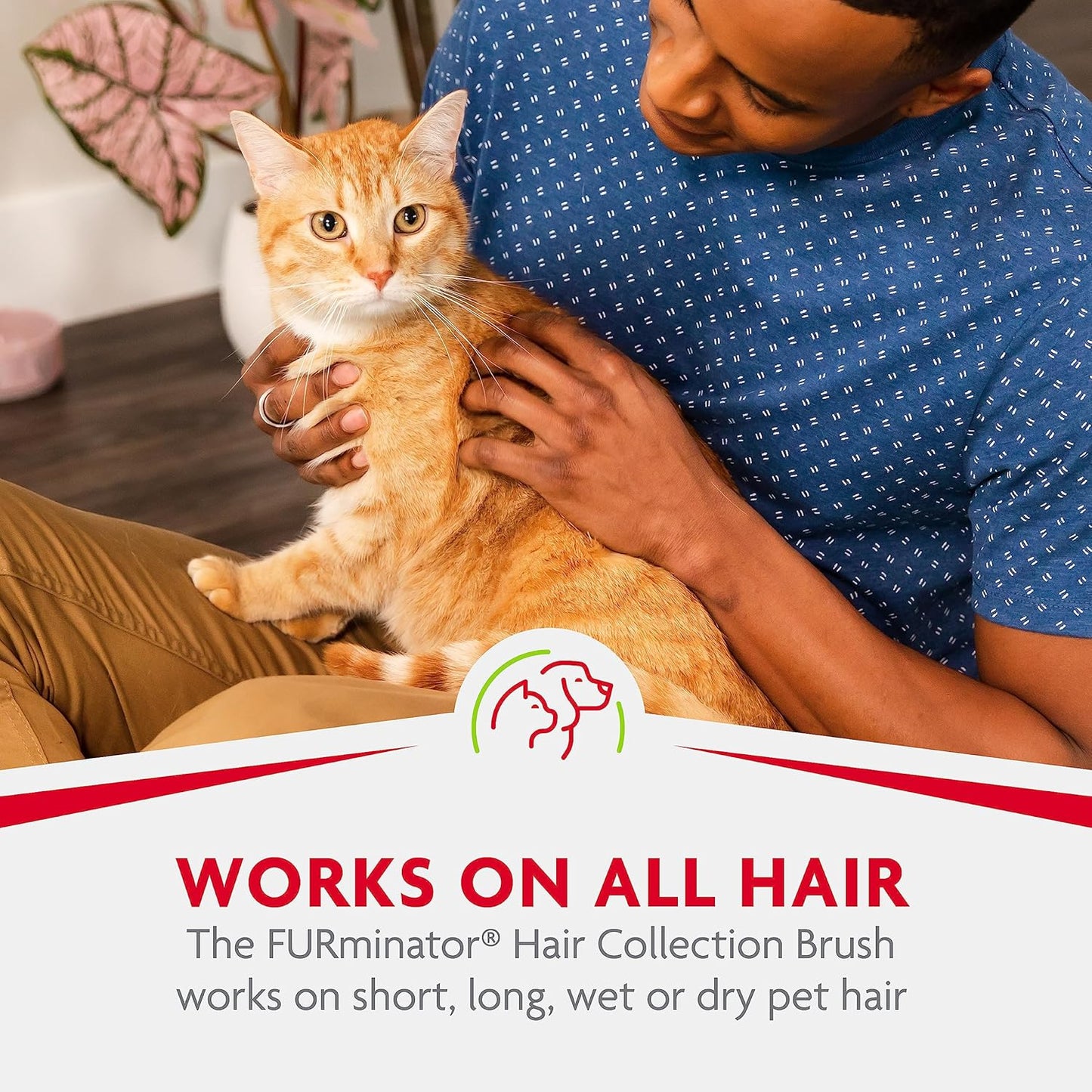 FURminator Hair Collection Rubber Brush For Cats Removes Loose Hair On Pets, Upholstery, Clothing, Carpets And Rugs For Easy Cleanup, 1 Count