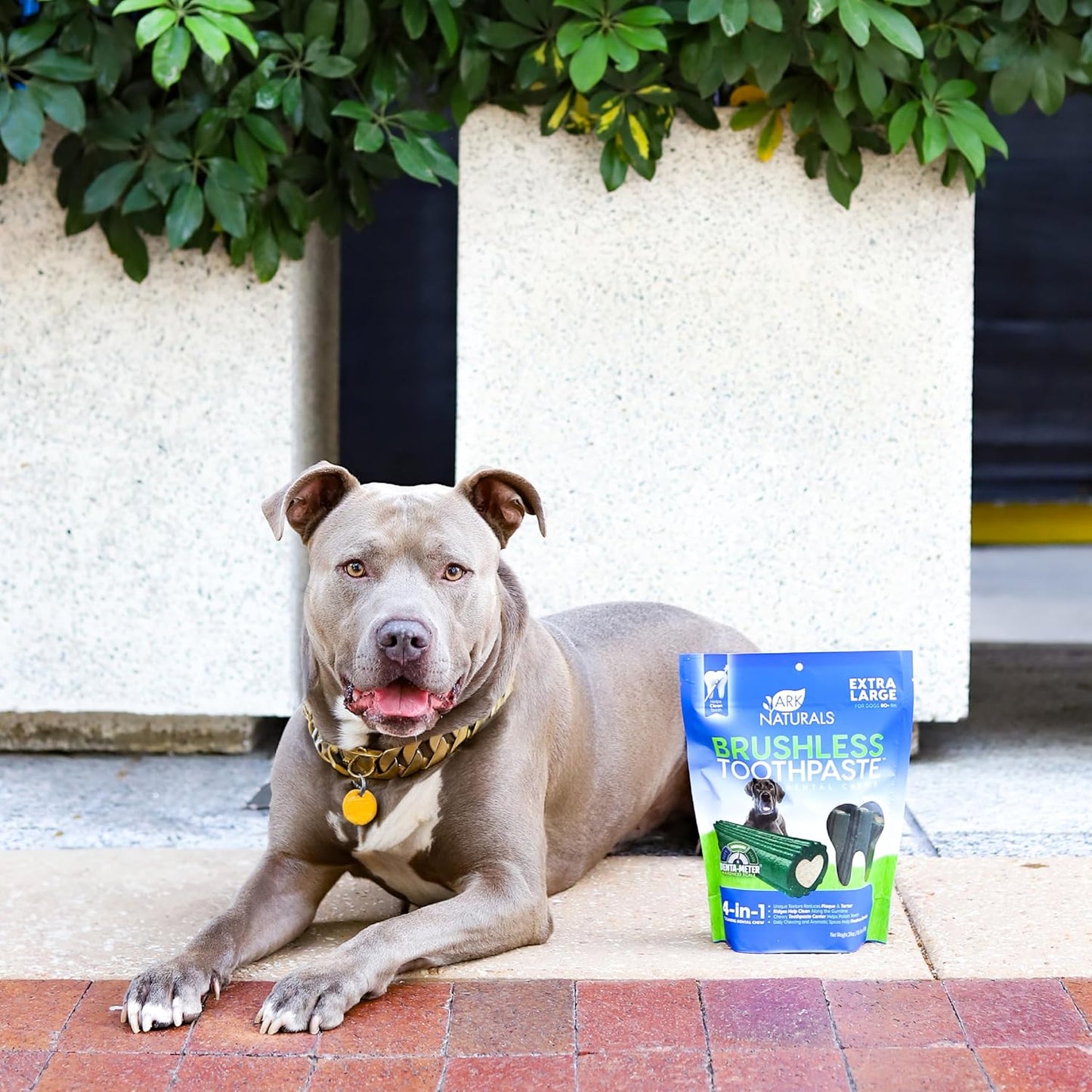 Ark Naturals Soft Brushless Toothpaste, Dog Dental Chews for Small Breeds, Freshens Breath, Unique Texture Helps Reduce Plaque & Tartar, 12oz, 1 Pack