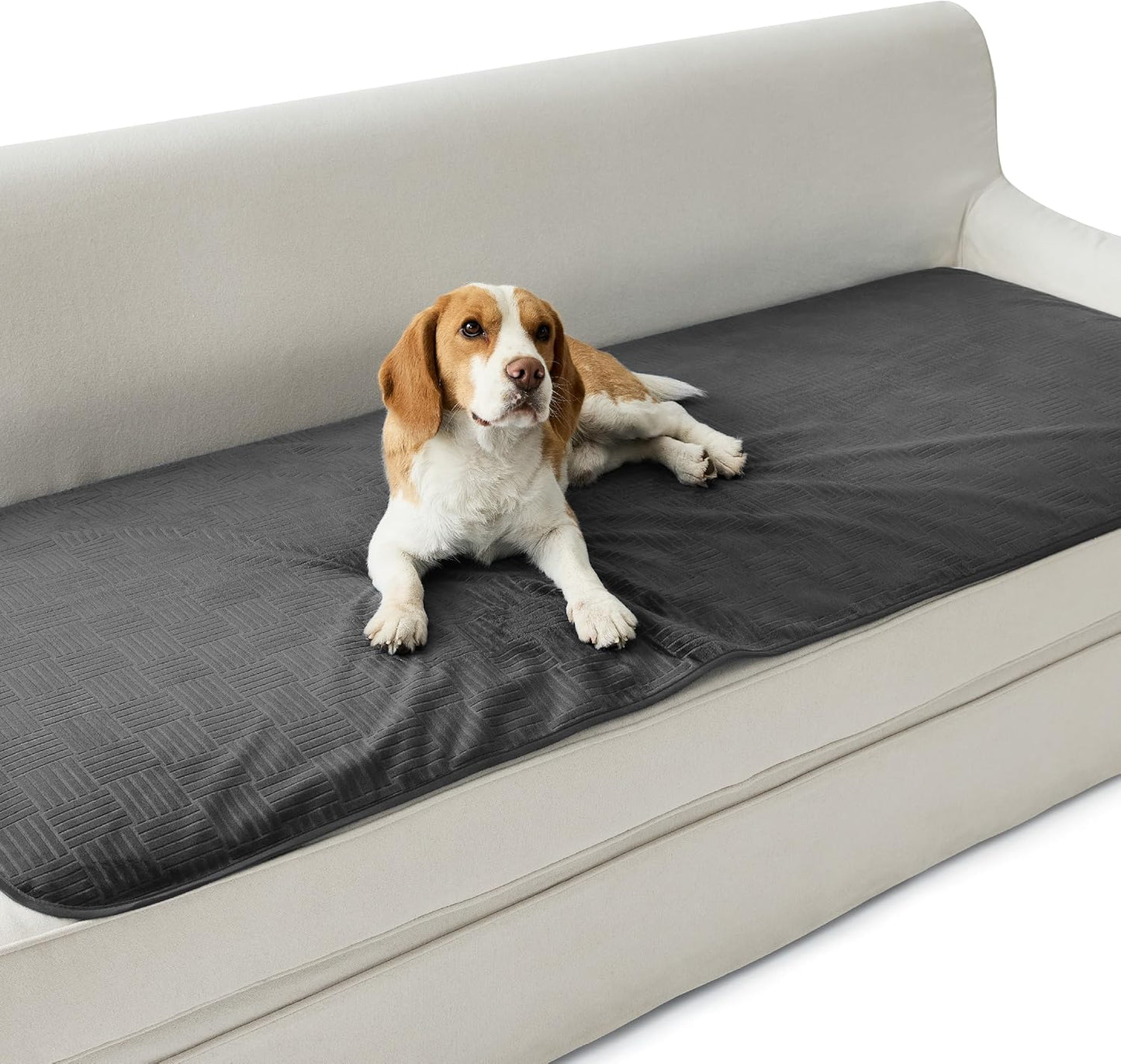 Bedsure Waterproof Couch Cover for Dogs Washable - Waterproof Blanket for Large Dogs Couch Sofa Bed Cozy, Lightweight Furniture Protector for Pet Cat Quick Drying, Ash Grey, 52x82IN