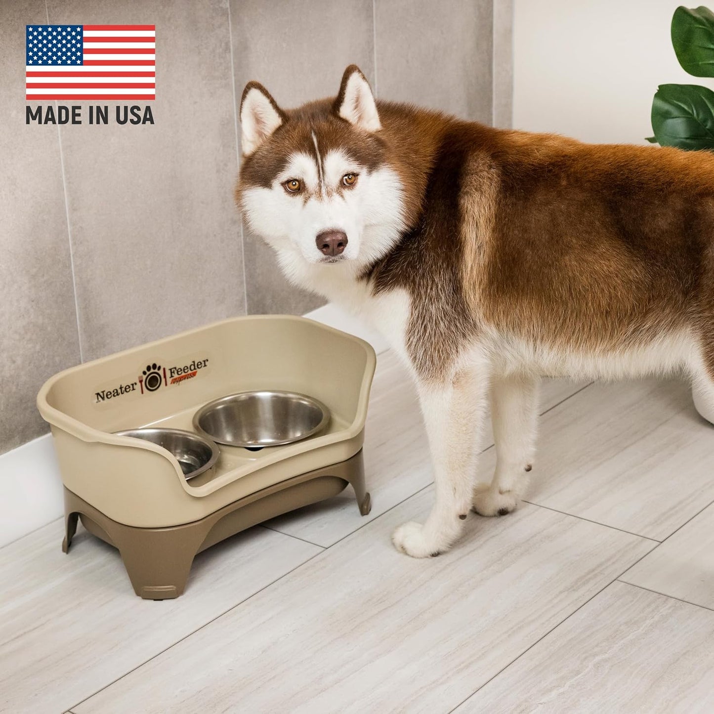 Neater Feeder Express Mess Proof Dog Bowls Elevated for Small Breeds under 15 Lb, Made in USA, No Spill Raised Dog Food Bowl Stand, Stainless Steel Food and Water Bowl Set, Feeding Station, Cappuccino