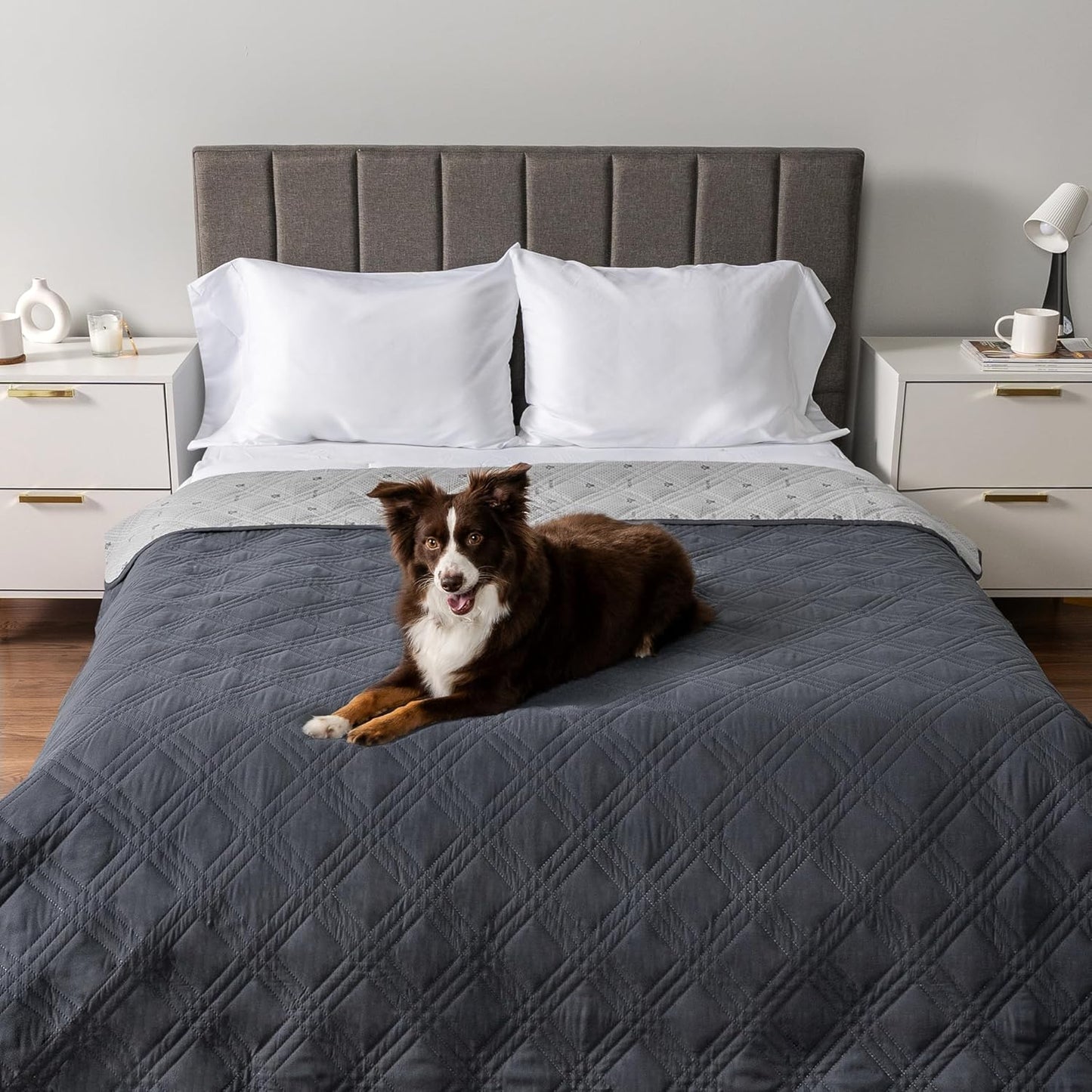 PetAmi Waterproof Couch Cover for Dogs, Reversible Furniture Cover Sofa Protector for Pet Cat Bed, Washable Blanket Dog Cover for Couch Seat, 52x82 Gray