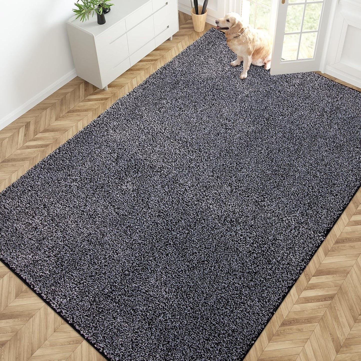 PURRUGS Dirt Trapping Door Mat 20" x 31.5", Non-Slip Machine Washable Entryway Rug, Dog Doormat, Indoor Front Door Mat, Super Absorbent Entry Rug for Muddy Shoes & Paws, Bluish Grey-Black