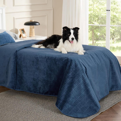 Bedsure Waterproof Couch Cover for Dogs Washable - Waterproof Blanket for Large Dogs Couch Sofa Bed Cozy, Lightweight Furniture Protector for Pet Cat Quick Drying, Ash Grey, 52x82IN