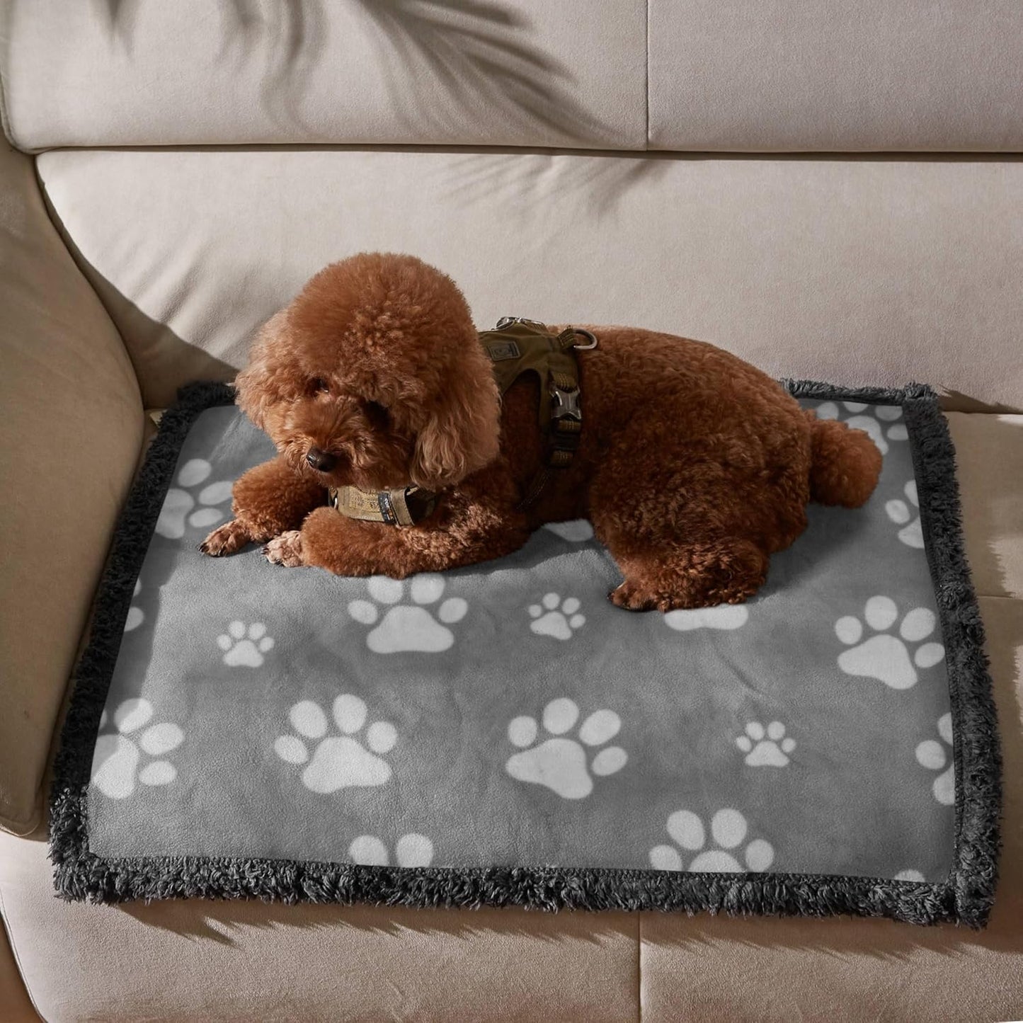 Kritter Planet Waterproof Dog Blanket, Reversible Water Proof Pet Blanket for Couch, Bed & Sofa, Washable Couch Covers for Large Dogs - Protects Furniture from Fur, Dirt, and Accidents