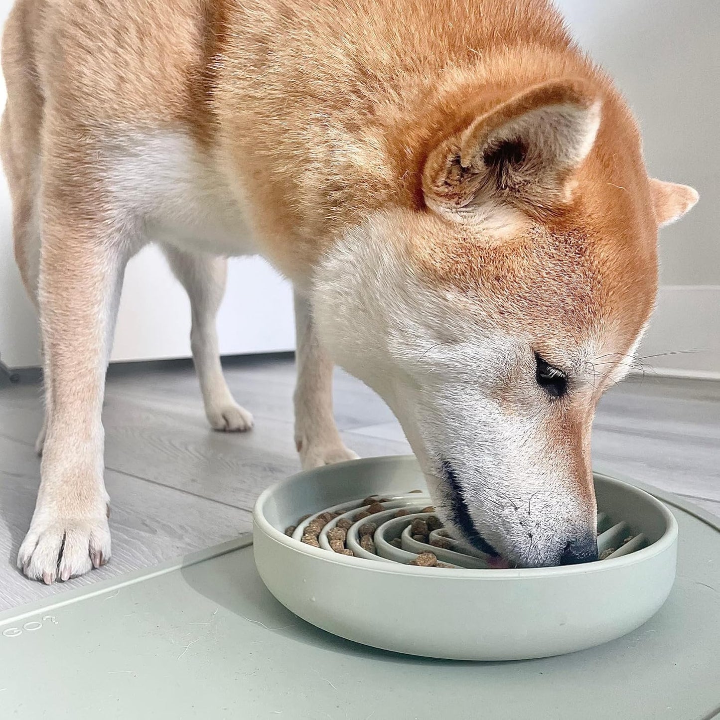 Should We Go? Slow Feeder for Dogs & Puppies, The Slowdown Bowl Silicone Slow Eating, Modern Lick Mat Design, Reduces Gulping, Fits 2 Cups, 7.5” Across x 1.5” Tall, Mealtime Challenge, Medium-Blush