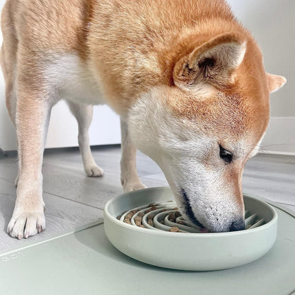 Should We Go? Slow Feeder for Dogs & Puppies, The Slowdown Bowl Silicone Slow Eating, Modern Lick Mat Design, Reduces Gulping, Fits 2 Cups, 7.5” Across x 1.5” Tall, Mealtime Challenge, Medium-Blush
