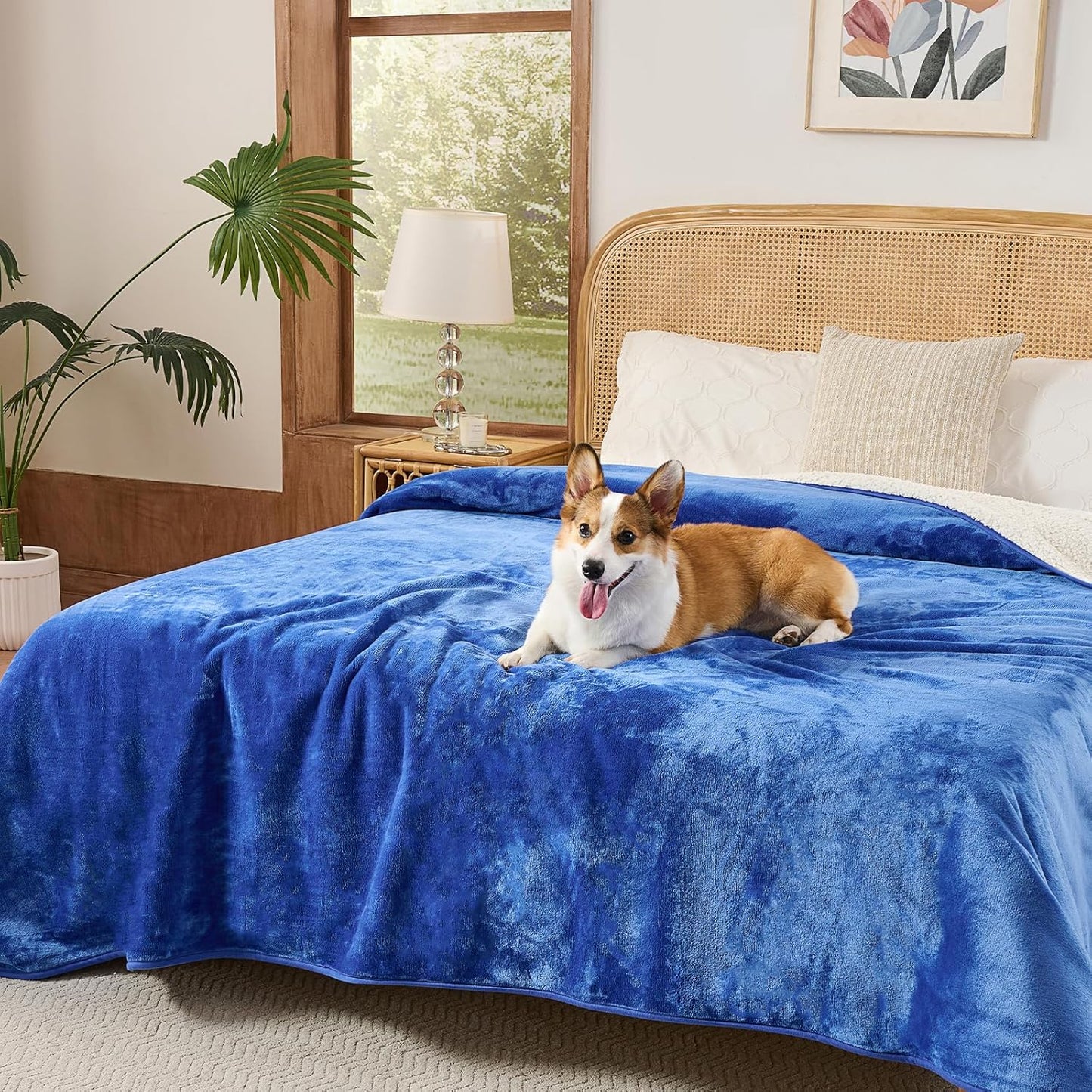 Sunheir Waterproof Dog Blankets for Small Dogs, Reversible Sherpa Fleece Thick Puppy Blanket, Leakproof Spill-Proof Pet Blanket for Cat, Bed, Couch, Furniture Protector, Travel, Camping, 25"X35", Grey