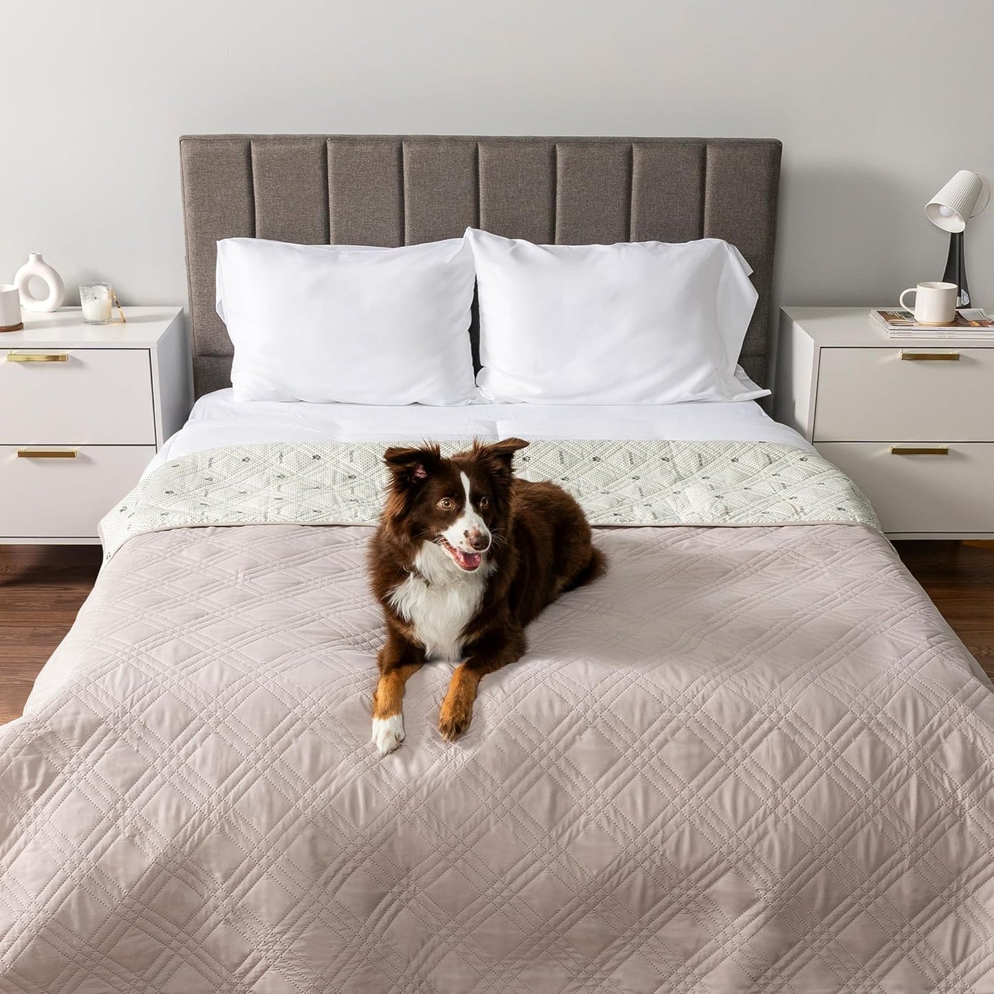 PetAmi Waterproof Couch Cover for Dogs, Reversible Furniture Cover Sofa Protector for Pet Cat Bed, Washable Blanket Dog Cover for Couch Seat, 52x82 Gray