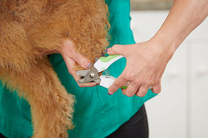 Andis 68575 Animal Nail Cutter for Small Breeds - Stainless Steel Blades with Sharp Efficiency - Designed for Repeated Use & Recommended by Pet Trainers – Medium Size & White/Green