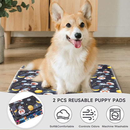 Paw Legend Washable Reusable Dog Pee Pads Super Absorbent (2 Pack) - Washable Reusable Puppy Training Pads | Quality Travel Pee Pads for Dogs | Absorbent and Odor Controlling