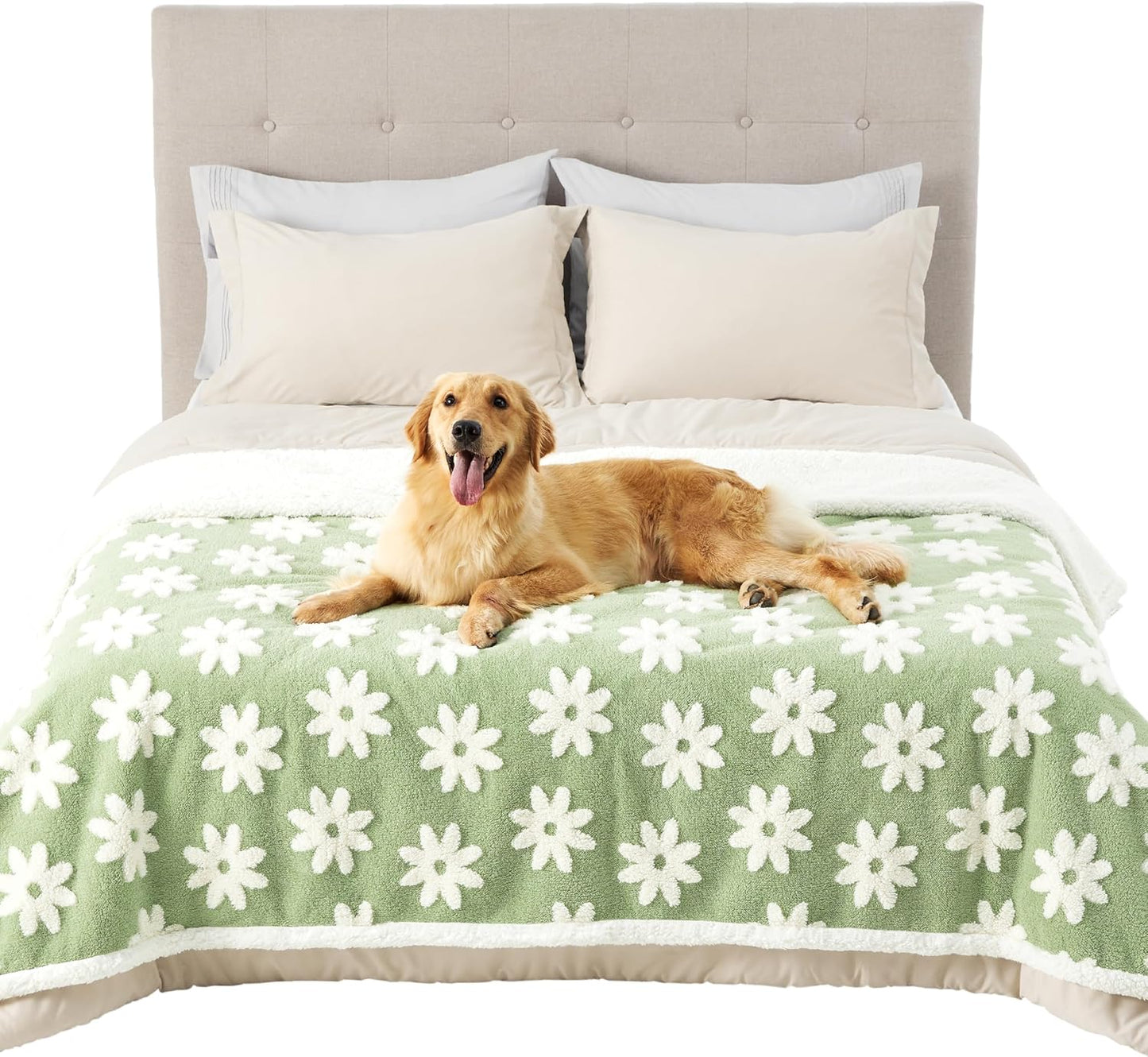 LE SURE Waterproof Dog Blanket for Large Dogs - Washable Double Sided Dog Blankets with Warm Jacquard Shag and Soft Sherpa Fleece, Pet Cat Blanket for Couch Protection, 3D Textured Cloud, Green