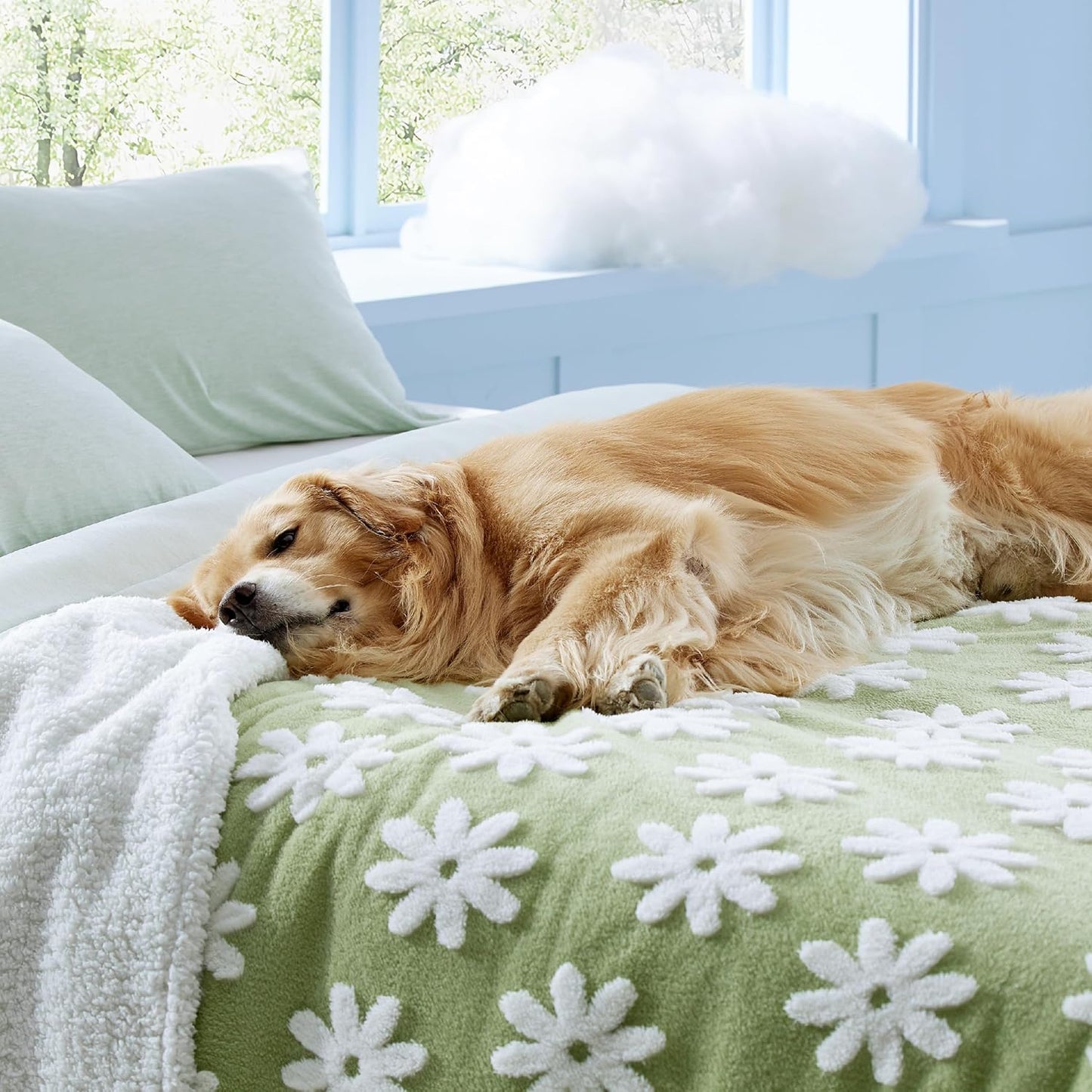 LE SURE Waterproof Dog Blanket for Large Dogs - Washable Double Sided Dog Blankets with Warm Jacquard Shag and Soft Sherpa Fleece, Pet Cat Blanket for Couch Protection, 3D Textured Cloud, Green