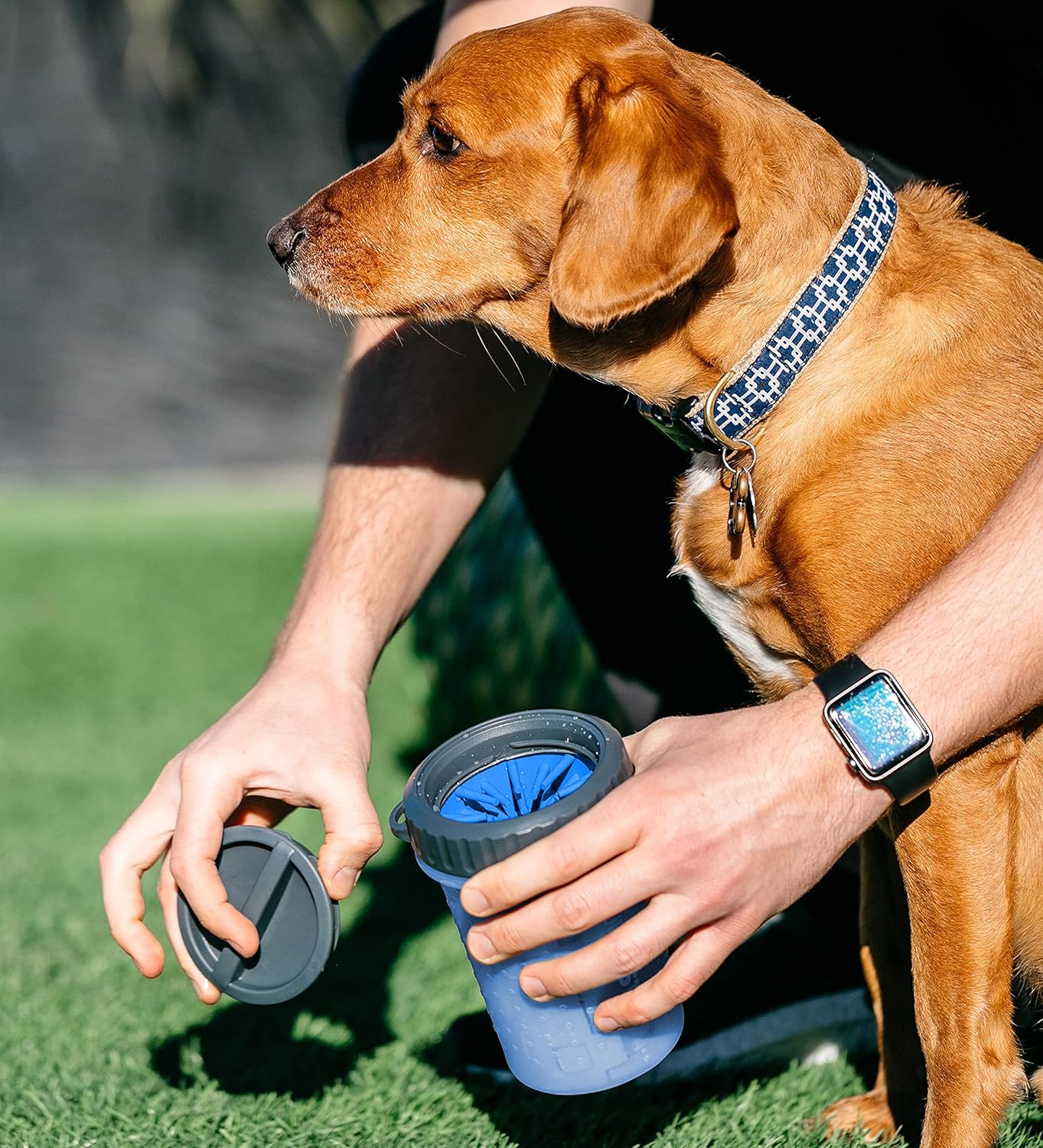 Dexas MudBuster Medium Dog Paw Cleaner in Fuchsia - Fits 1.5"-2.5" Wide Paws, Portable Paw Washer for Muddy Paws, Dog Paw Cleaning Cup with Gentle Silicone Bristles, Quick Clean Pet Paw Washer