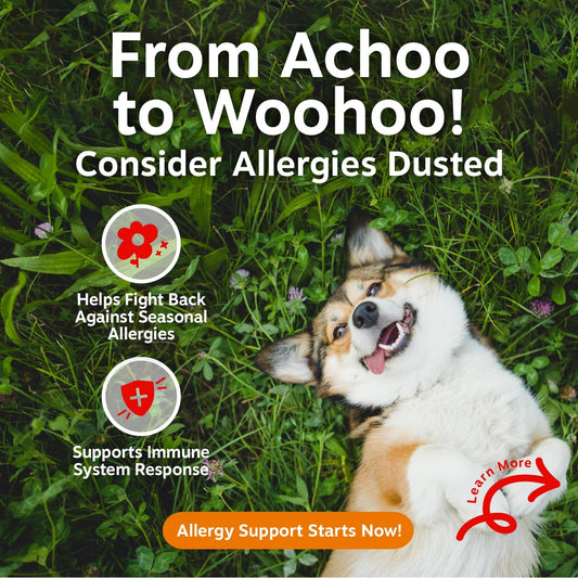 Dog Allergy Chews - Dog Allergy Relief, Peanut Butter