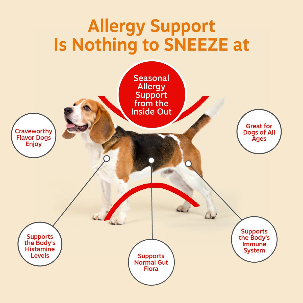 Dog Allergy Chews - Dog Allergy Relief, Peanut Butter