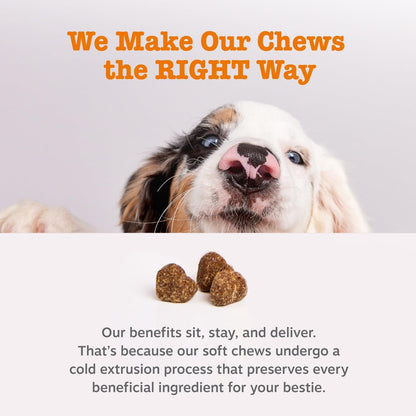 Dog Allergy Chews - Dog Allergy Relief, Peanut Butter