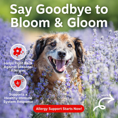 Dog Allergy Chews - Dog Allergy Relief, Peanut Butter