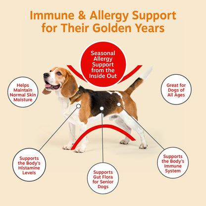 Dog Allergy Chews - Dog Allergy Relief, Peanut Butter