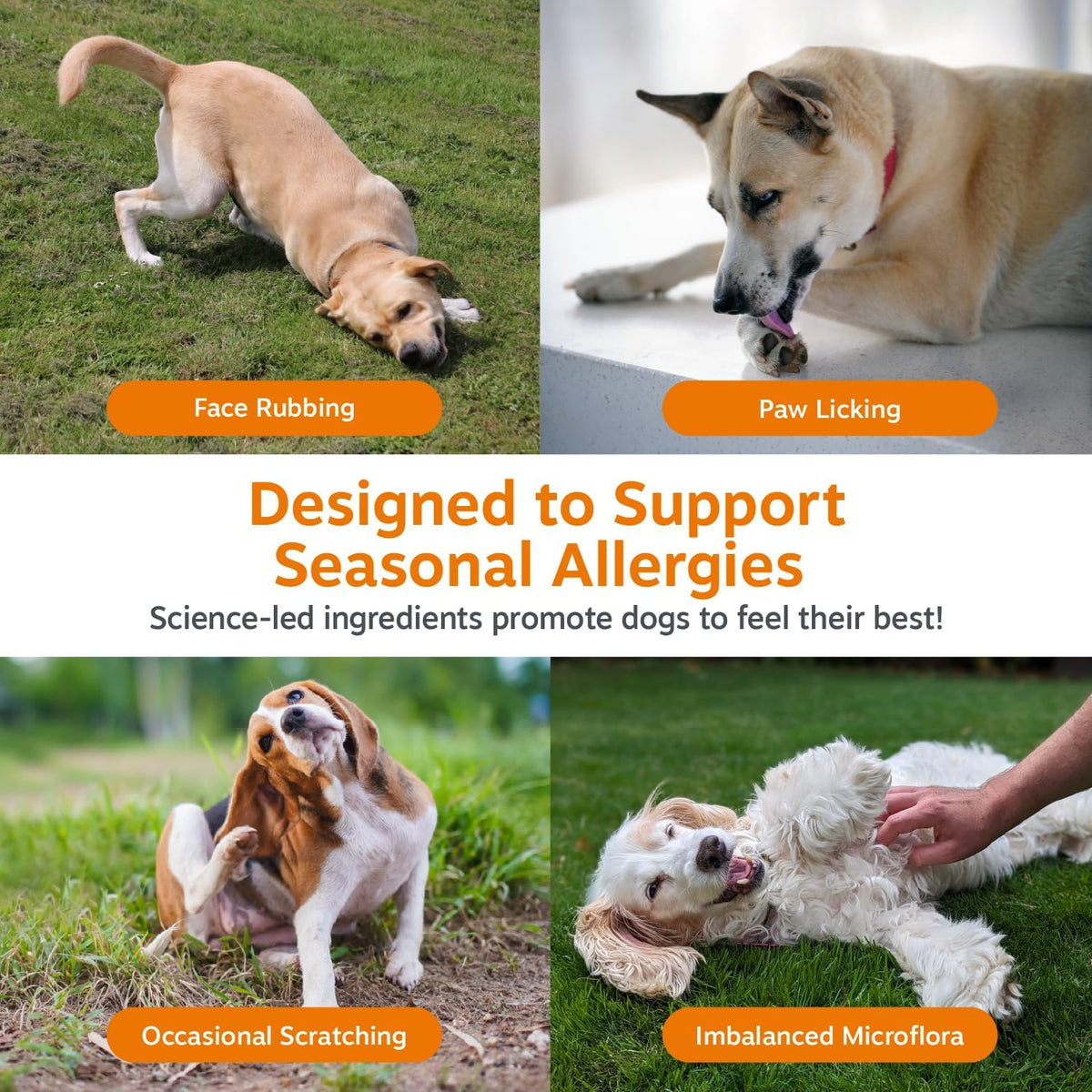 Dog Allergy Chews - Dog Allergy Relief, Peanut Butter